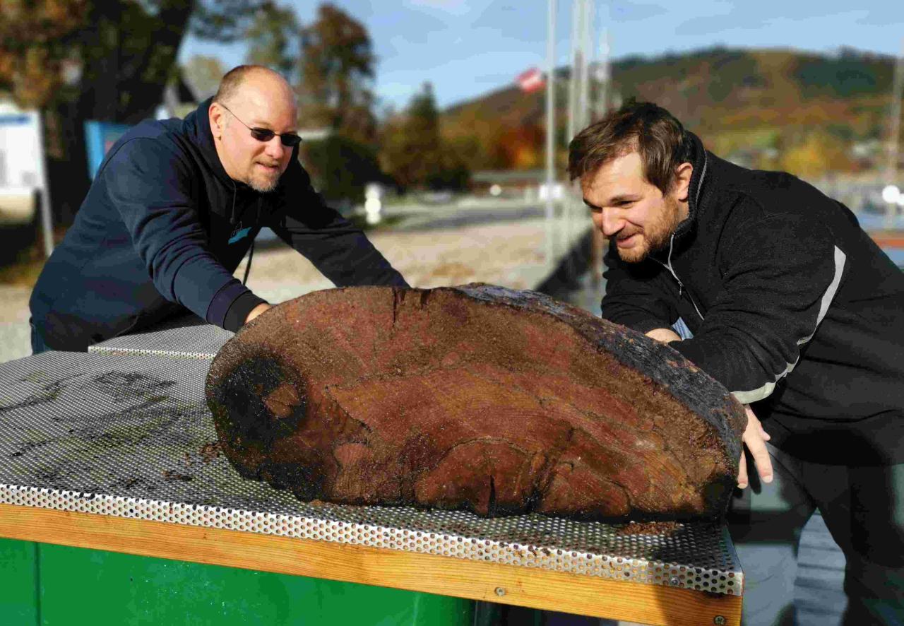 Probe des Hauptbalkens für weitere Untersuchungen 