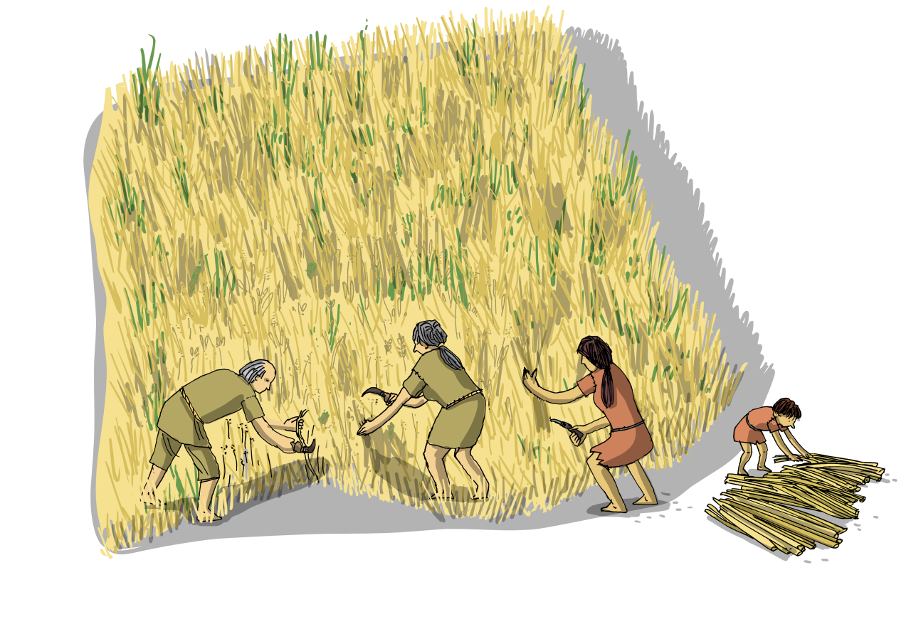 Illustration Ackerbau