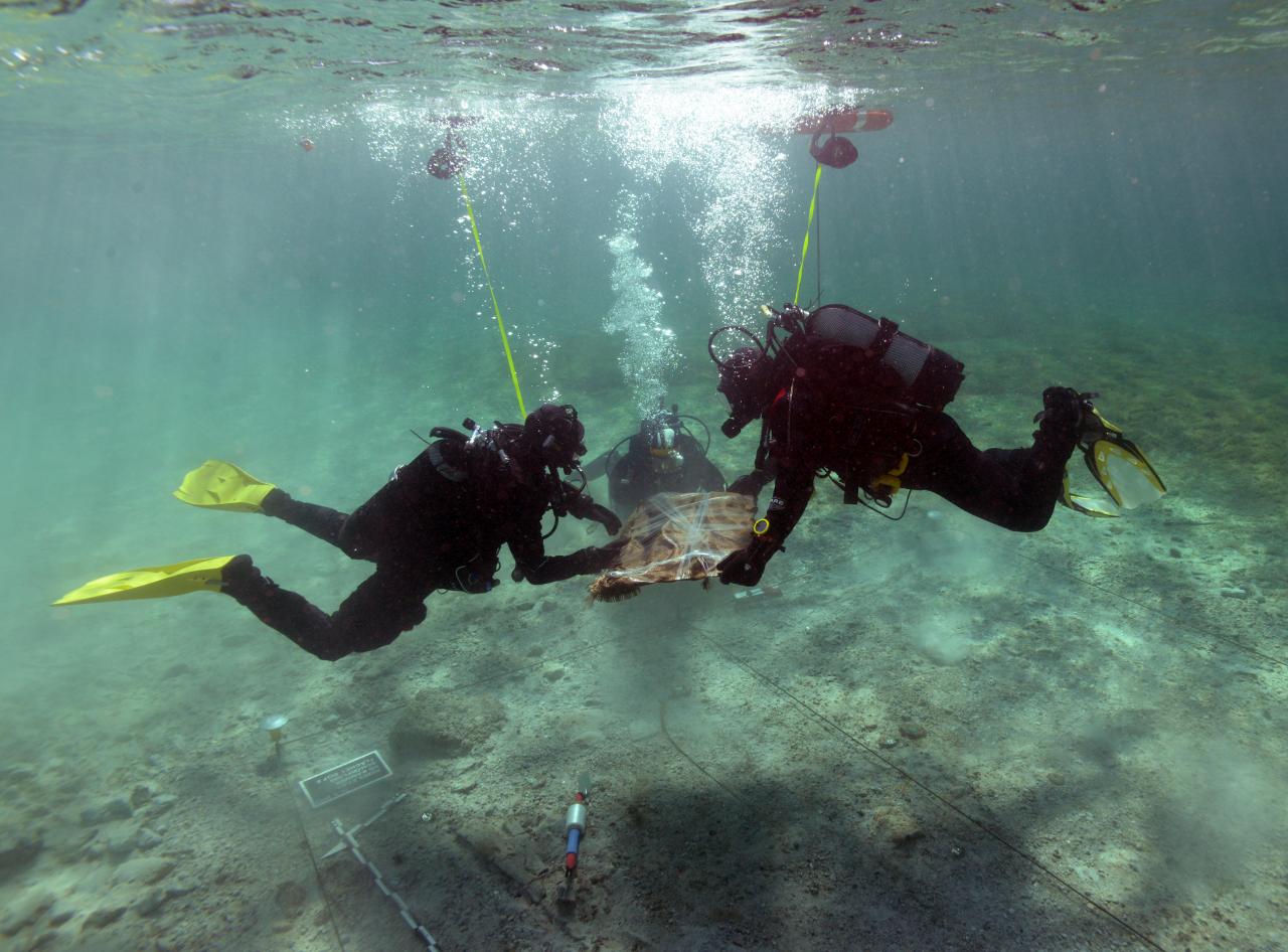 Vorsichtig müssen die Tausende Jahre alten Hölzer aus dem Seeboden gehoben werden.