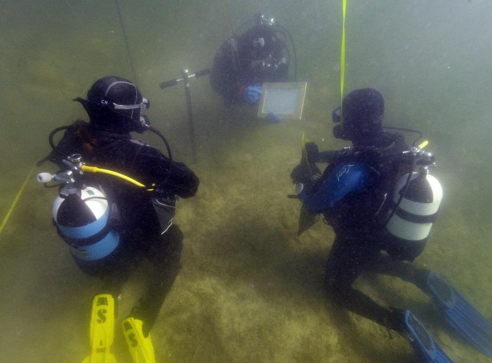 3 Taucher unter Wasser