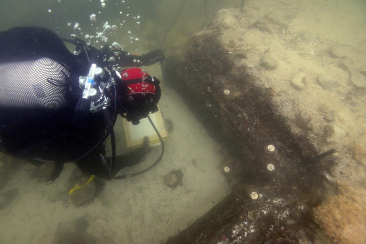 Ein Taucher mit einer Schreibtafel beim Dokumentieren unter Wasser