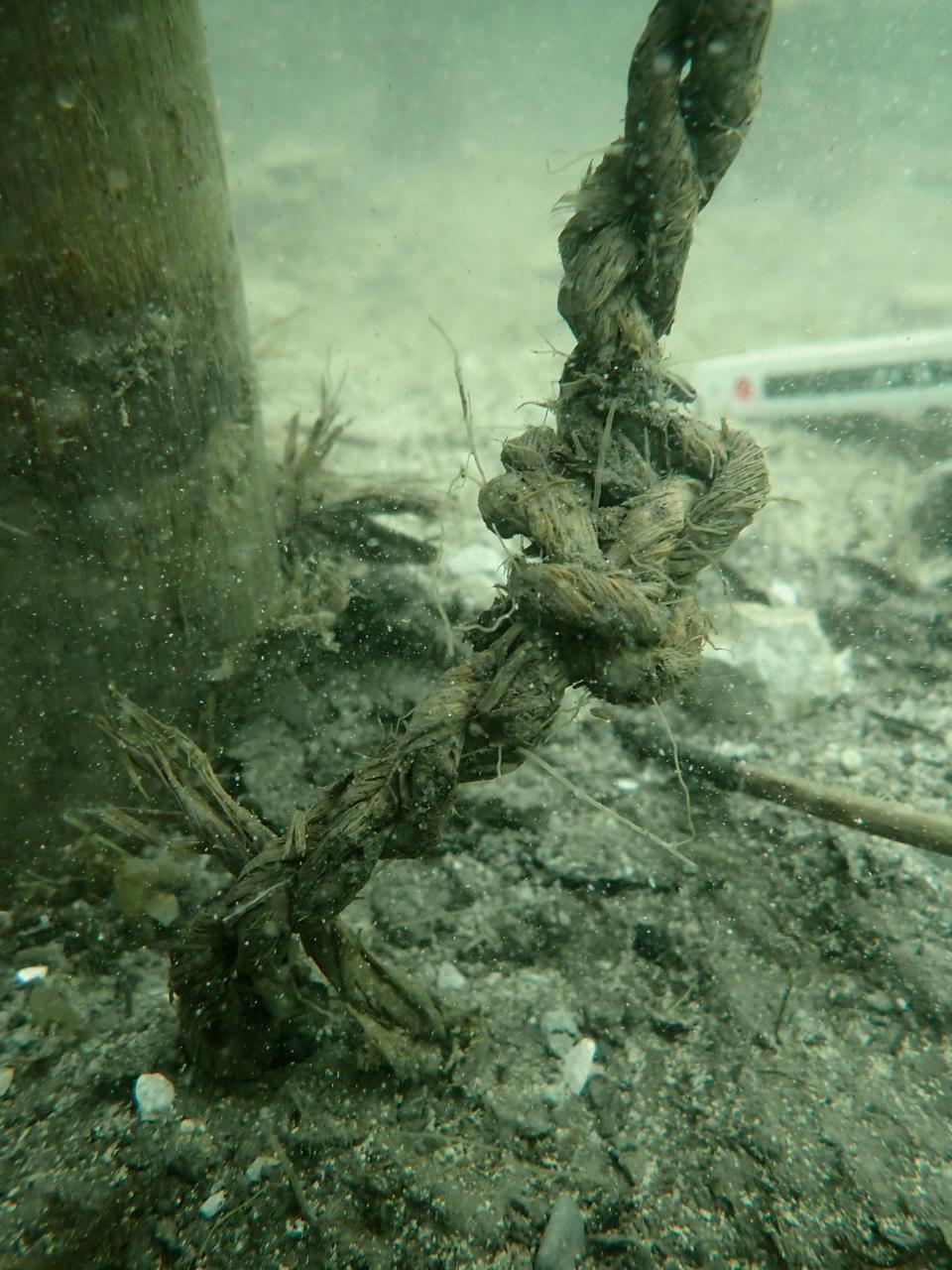 Ein Stück Bastschnur unter Wasser, in der sich ein Knoten befindet