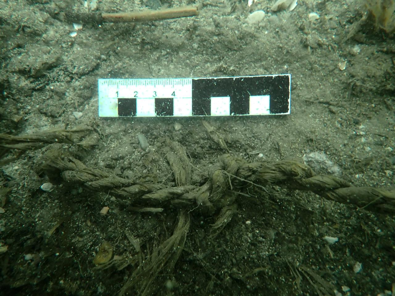 Ein Stück einer Bastschnur mit Fotomaßstab unter Wasser