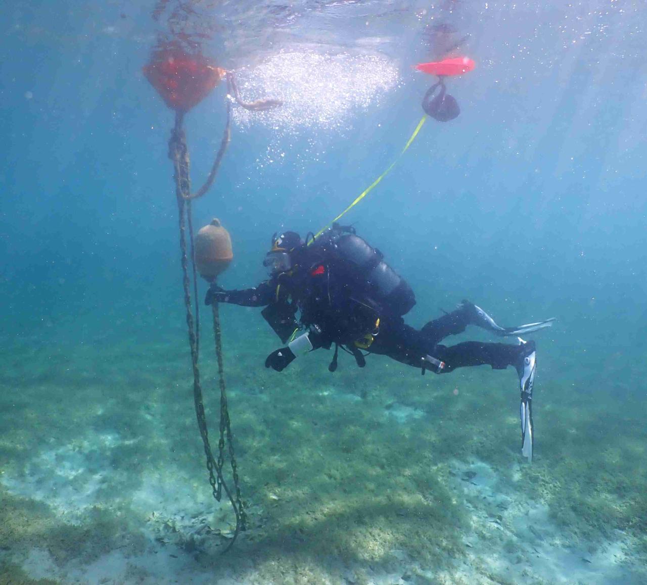 Monitoring Attersee 
