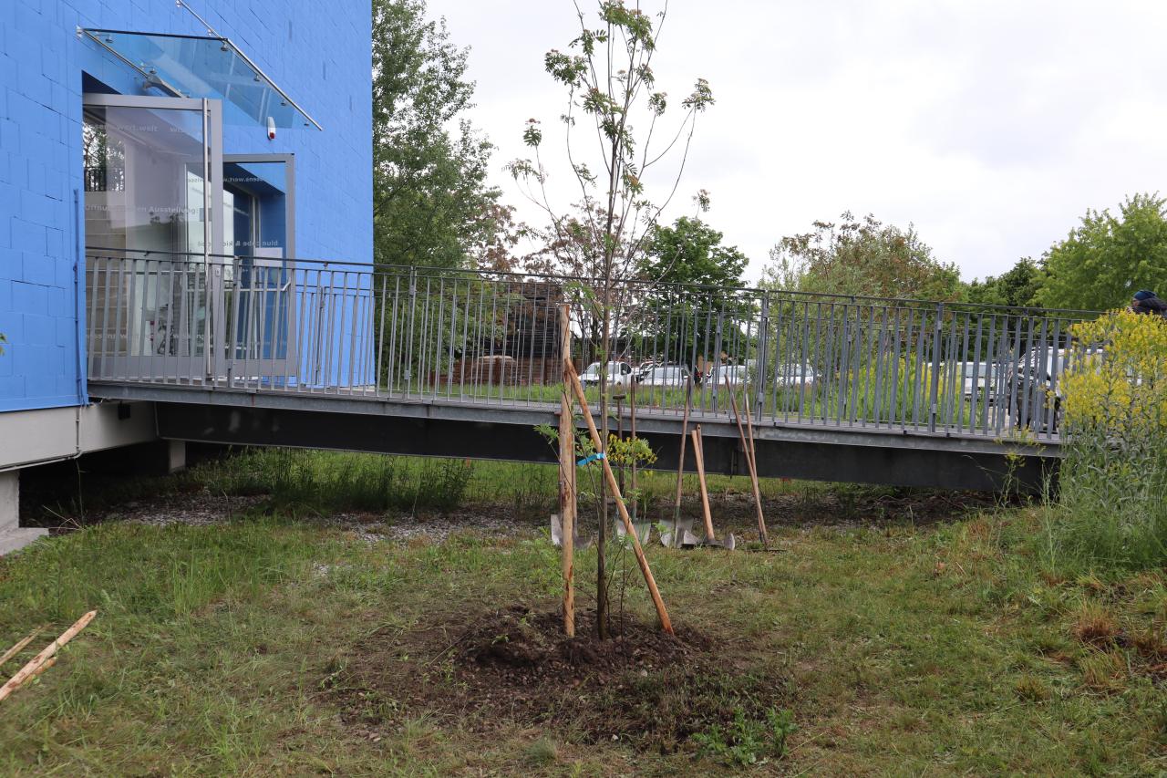 Ein Gebäude , das über eine Brücke mit einem Garten verbunden ist