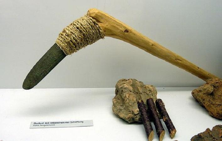 Eine Dechsel mit rekonstruierter Schäftung aus der Jungsteinzeit