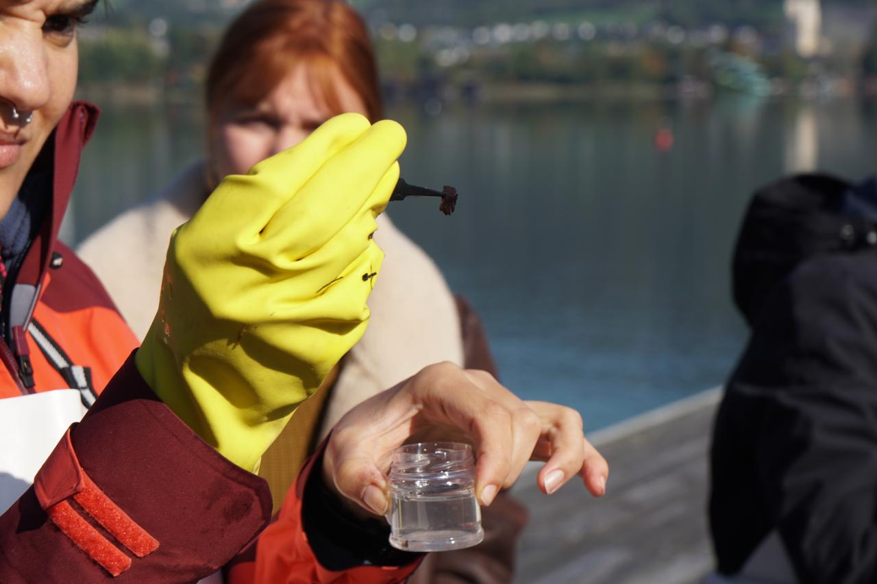 Eine Person hält eine Pinzette mit einem sehr kleinen, botanischen Fundstück in die Höhe