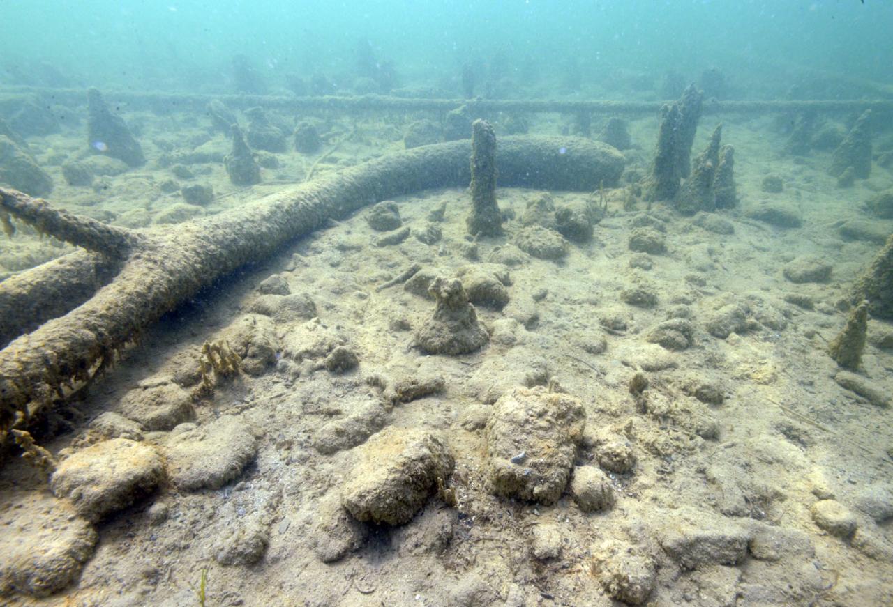 Hölzer und Steine am Seegrund mit glasklarer Sicht