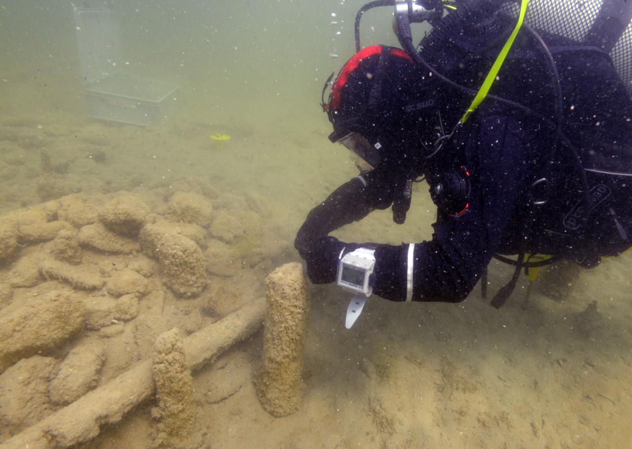 Ein Taucher begutachtet unter Wasser liegende und stehende Hölzer