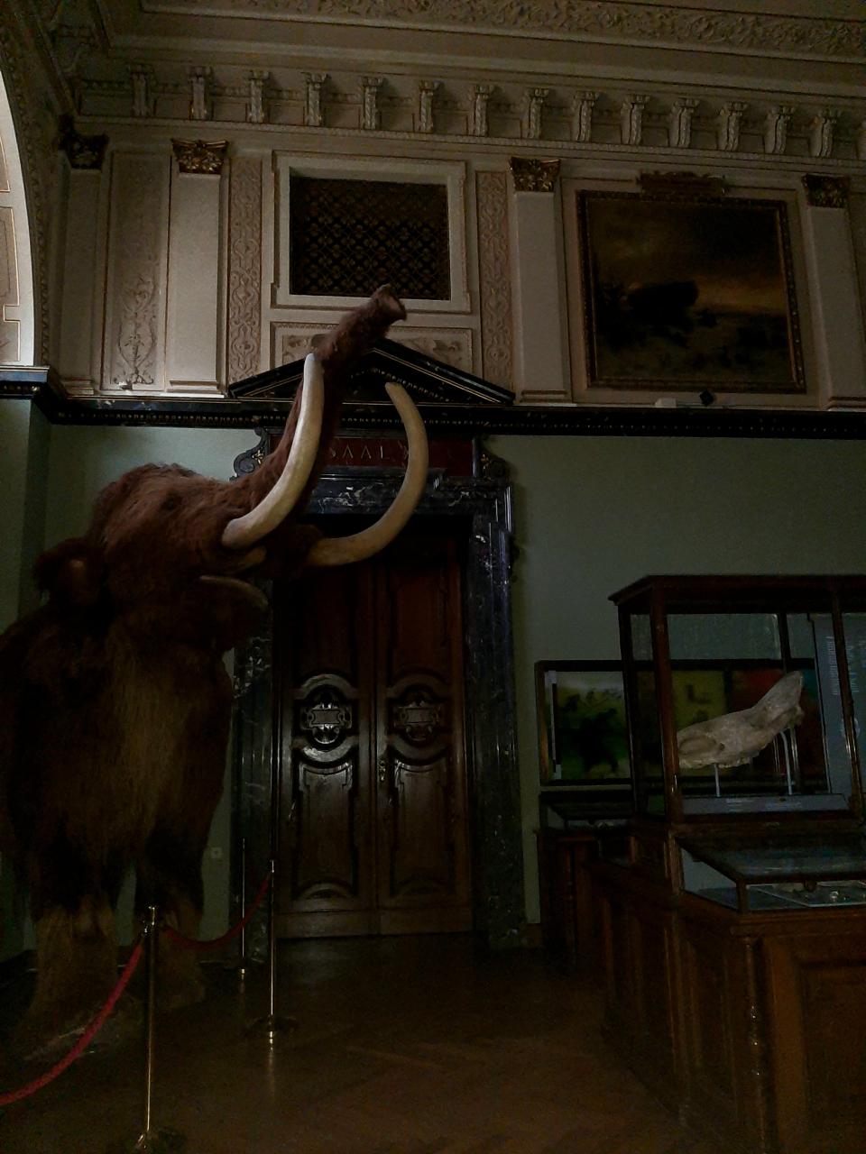 Die Replik eines Mammuts vor einer hohen Holztüre in einem Ausstellungssaal des NHM