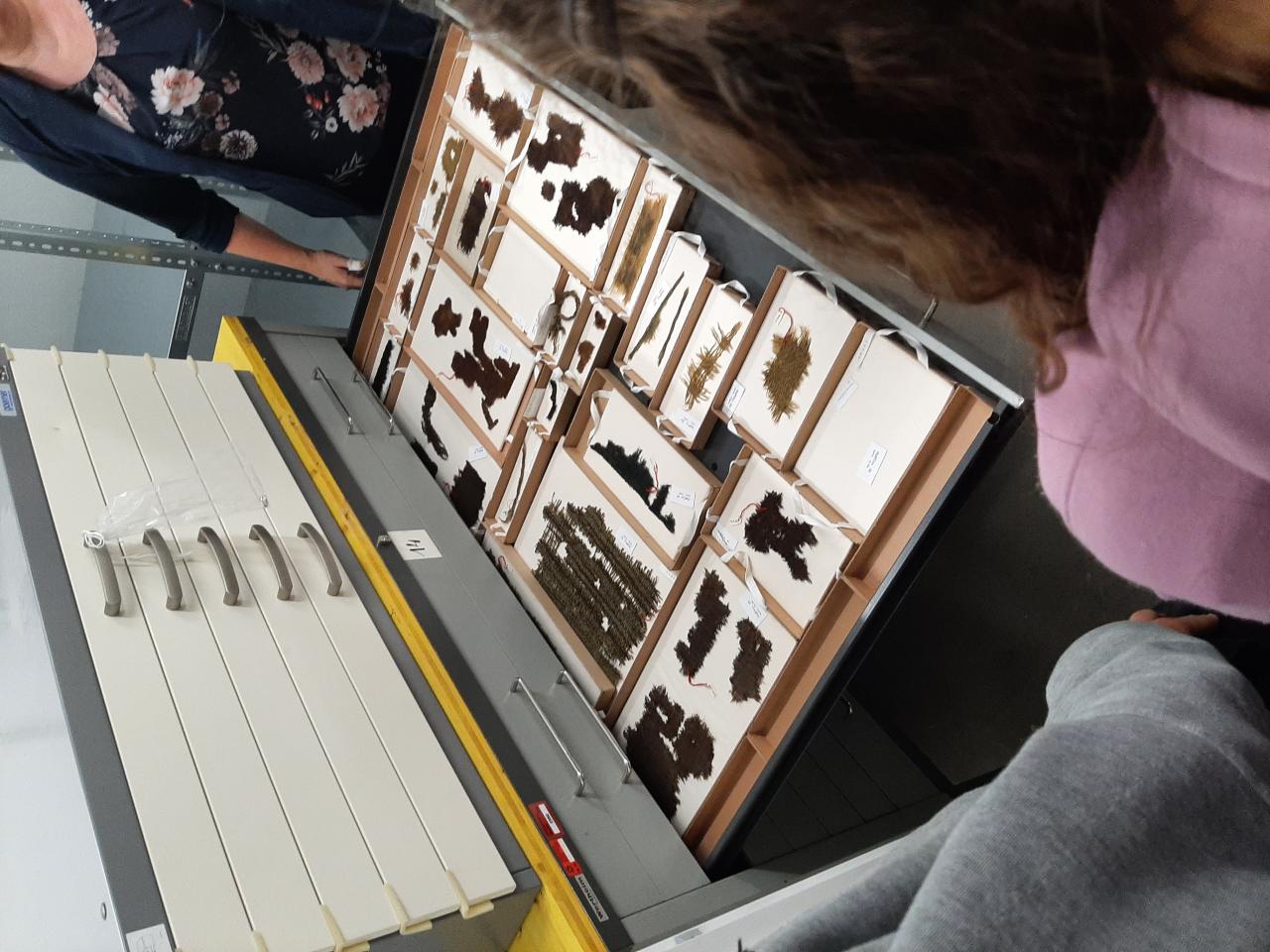 2 Personen haben eine Lade eines Archivschrankes geöffnet, in dem sich Textilfragmente befinden