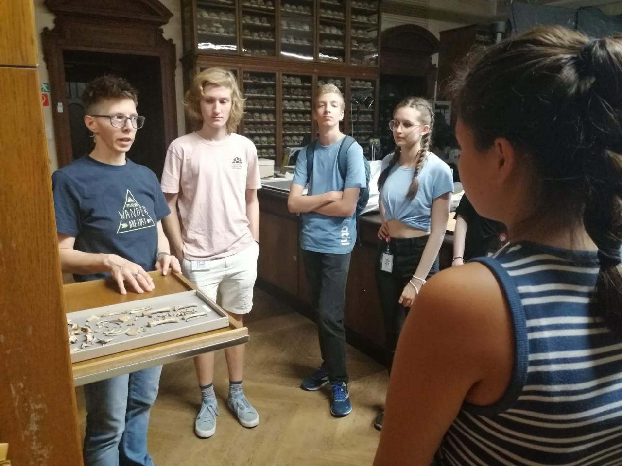 5 Personen stehen um eine geöffnete Lade einer Vitrine, welche Knochen enthält