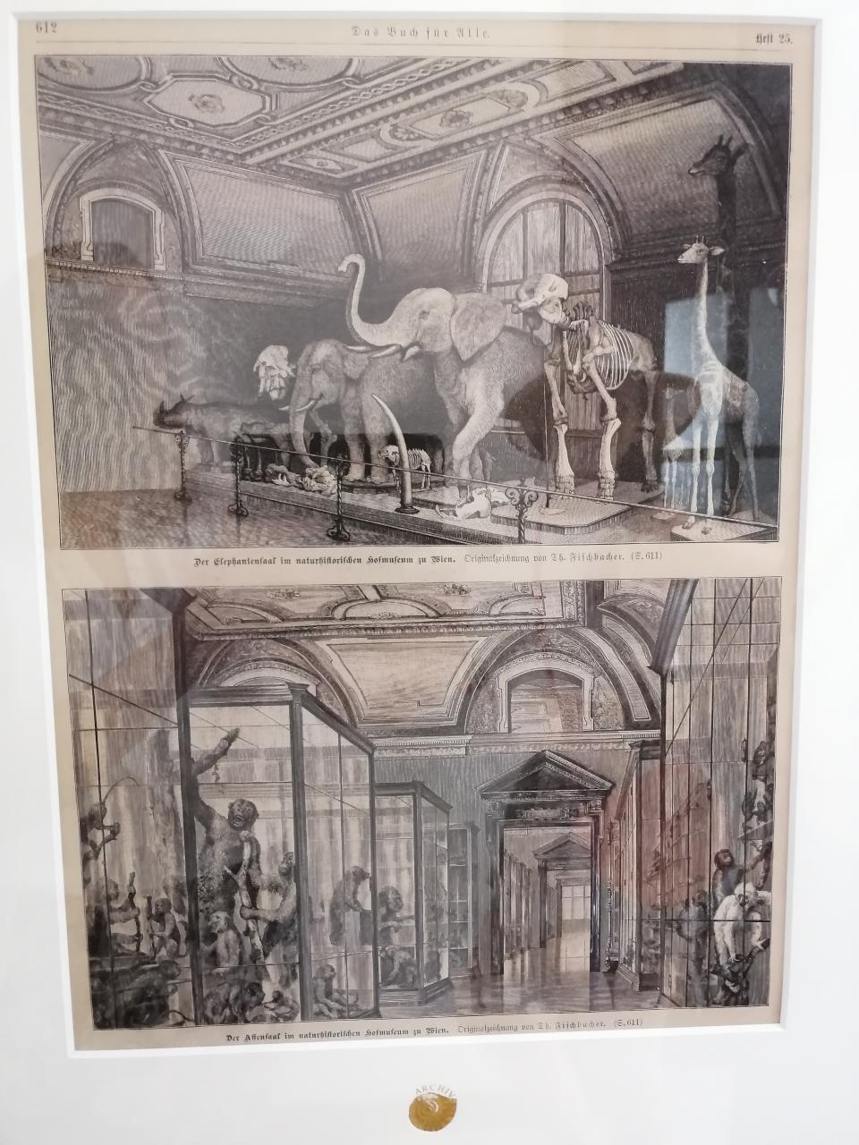 Das Foto einer Zeichnung von alten Ausstellungsräumen zur Zeit der Monarchie
