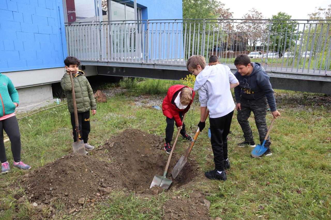 5 Schüler:Innen schaufeln ein Loch