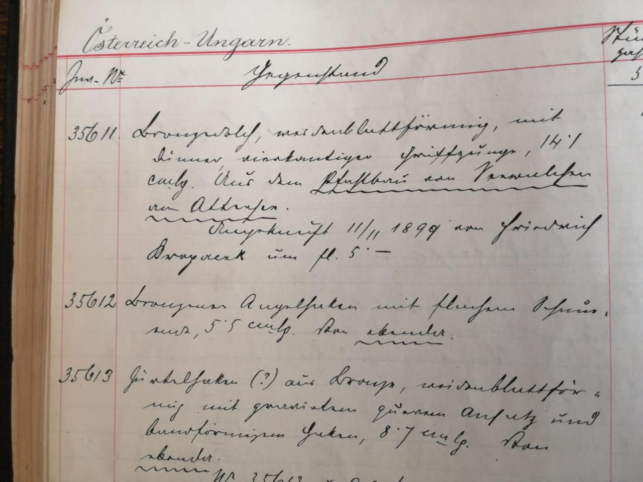 Eine Seite eines Inventarbuches mit Feder und Tinte beschrieben