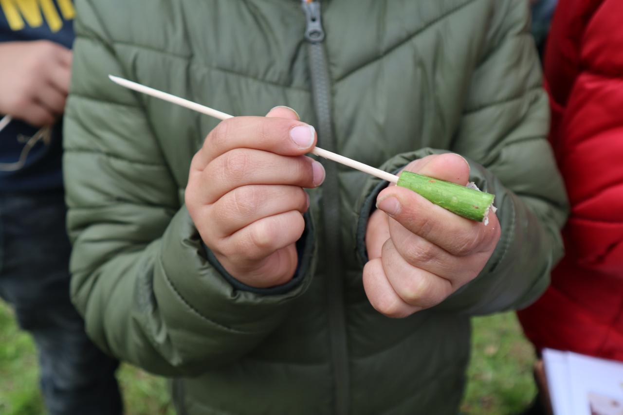 Ein Schüler hält ein Holunderholzstück in Händen, um es auszuhöhlen