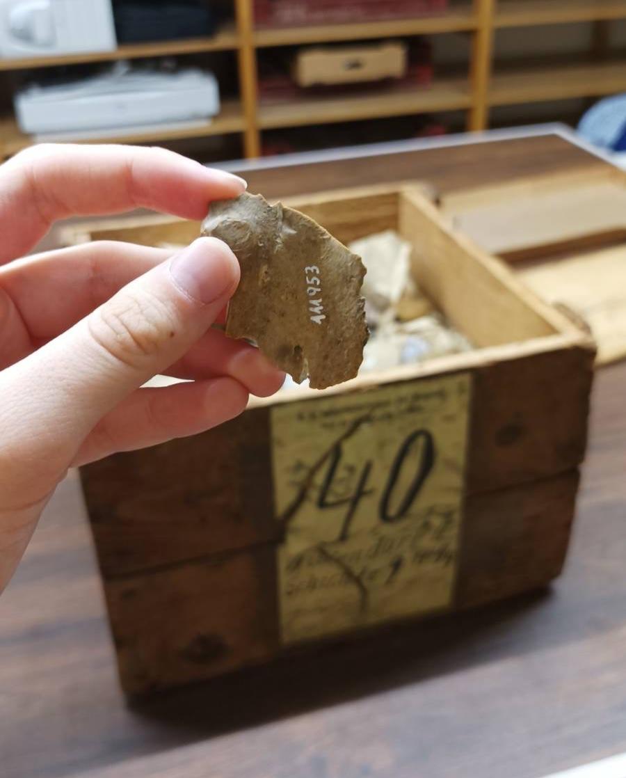 Jemand hält einen Silexabschlag in der Hand, im Hintergrund steht eine Holzkiste