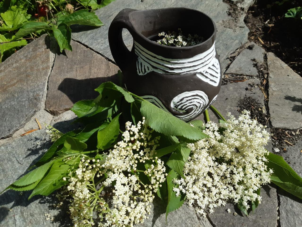 Ein urgeschichtlicher Becher mit Holunderblüten im Vordergrund