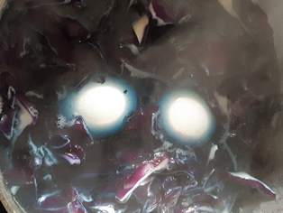 Zwiebelschalen in Wasser aufgelöst