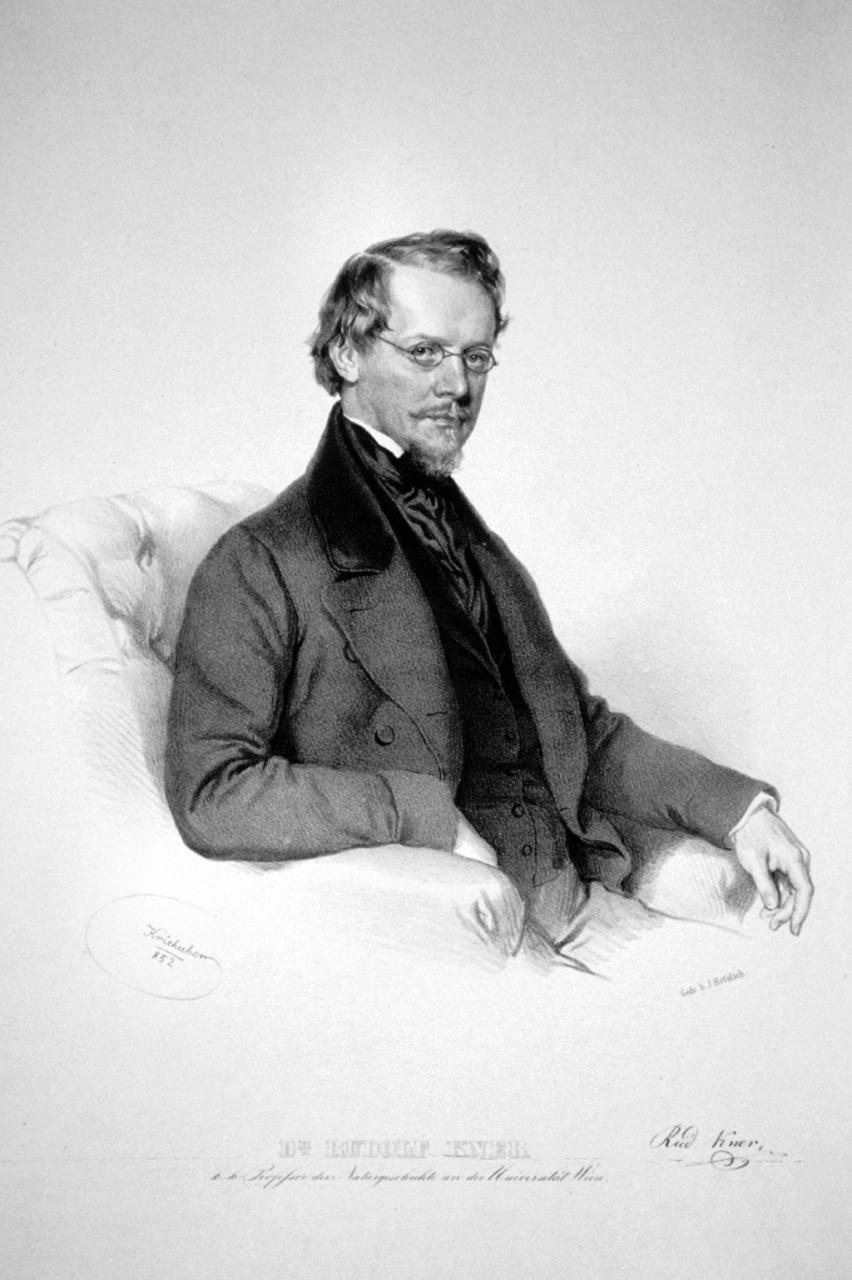 Eine Zeichnung, die Rudolf Kner zeigt