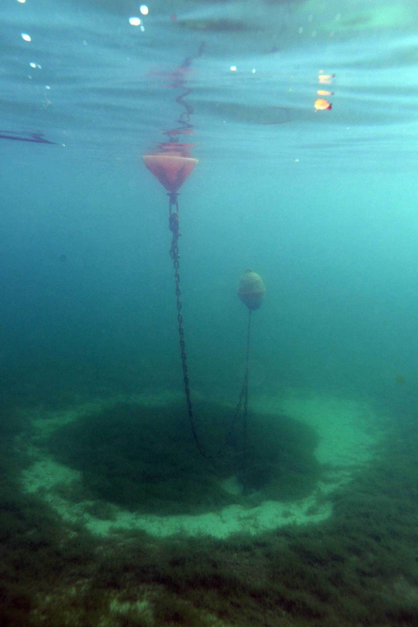 Eine Boje im Wasser. Der Krater um die Ankerkette ist deutlich erkennbar