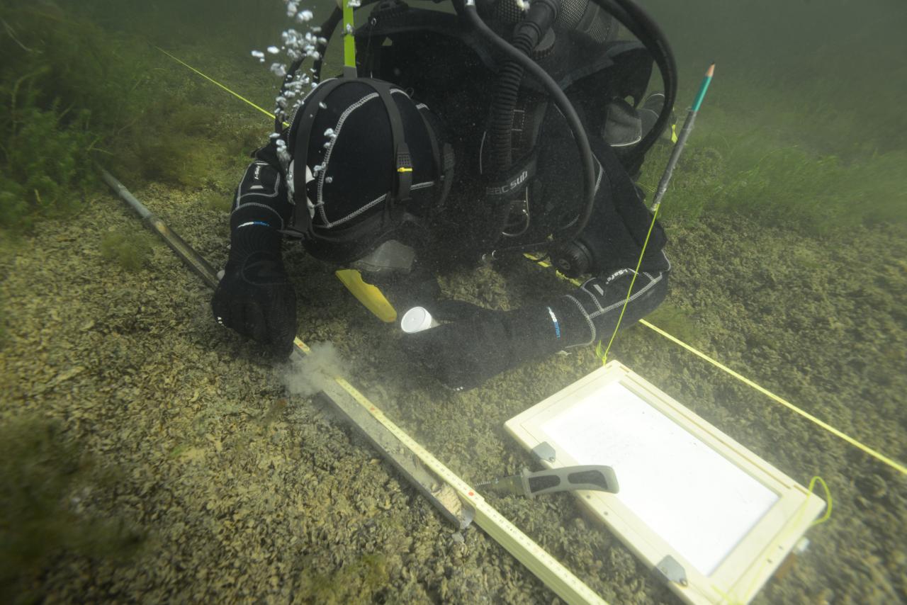 Ein Taucher misst unter Wasser einen Bohrkern ab und hat eine Schreibtafel neben sich liegen
