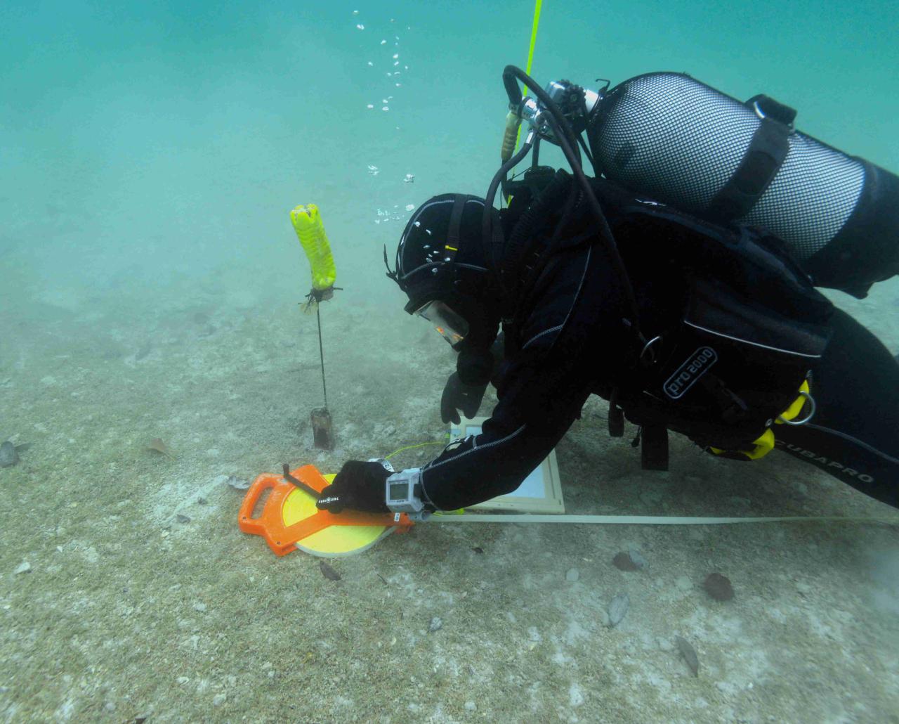 Ein Taucher unter Wasser, der mit einem Maßband etwas vermisst
