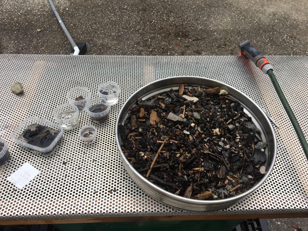 Ein Sieb mit Schlämmmaterial auf einem Tisch mit Arbeitsuntensilien