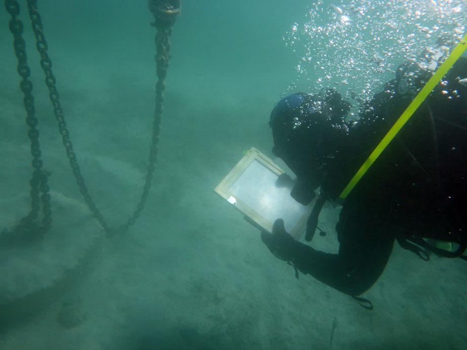 Ein Taucher unter Wasser, mit einer Schreibtafel in der Hand