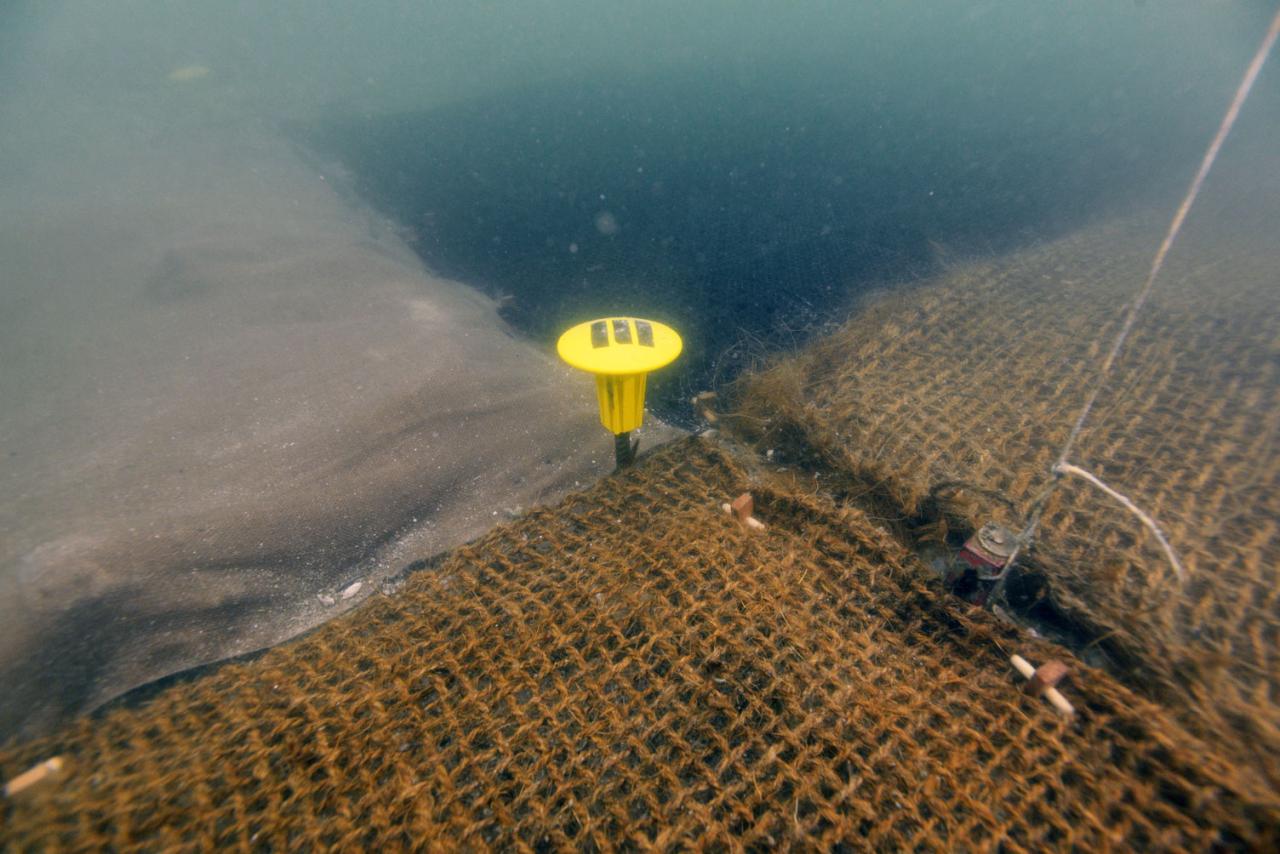 4 verschiedene Erosionsschutzmatten auf dem Seeboden