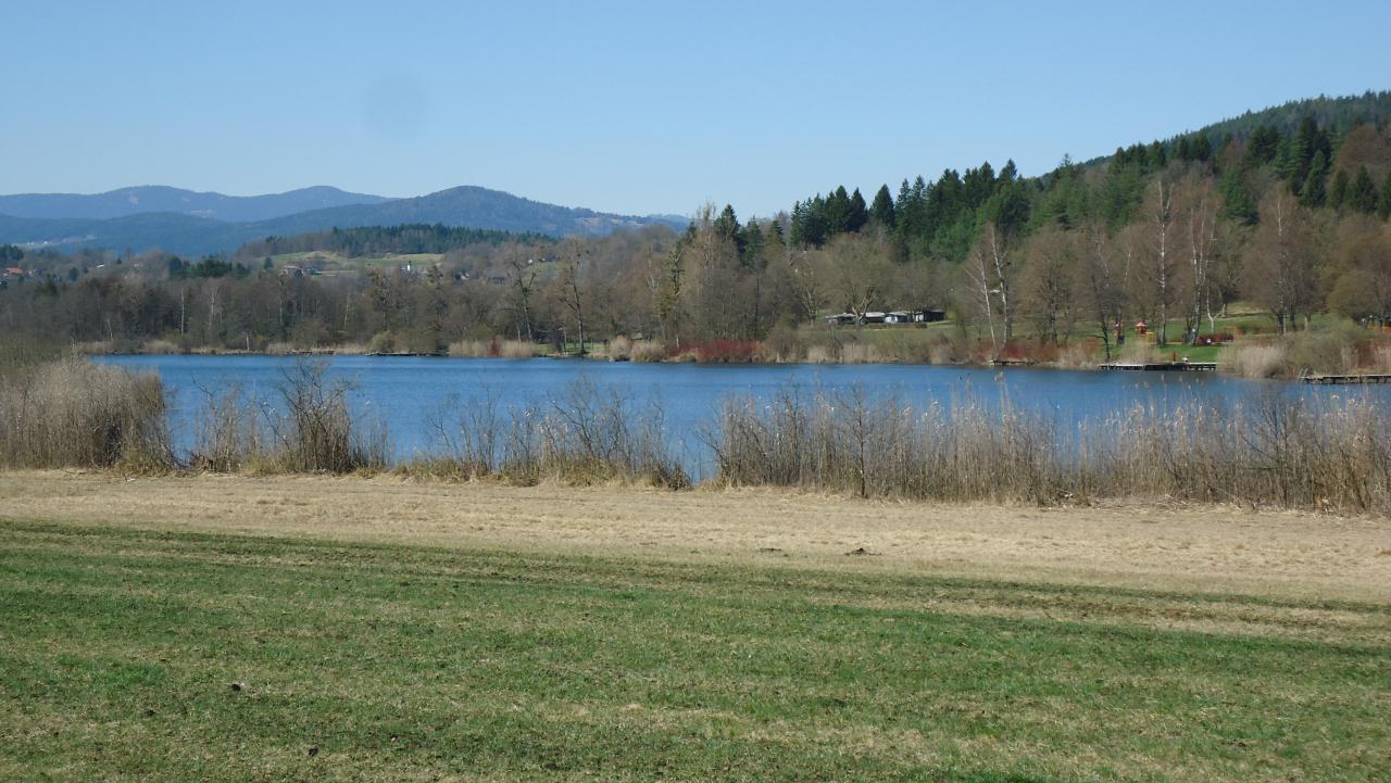 Eine Wiese, mit See und Wald im Hintergrund