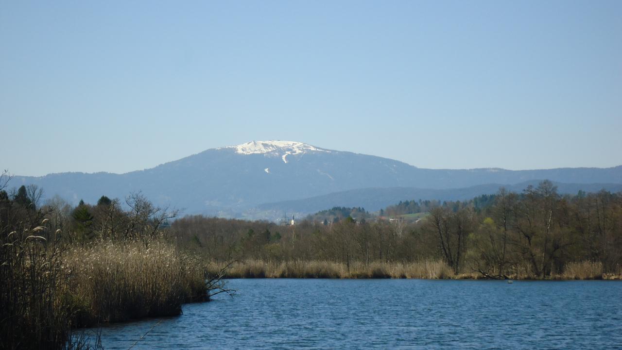 Ein See mit Schilfgürtel, dahinter ein Berg mit beschneitem Gipfel