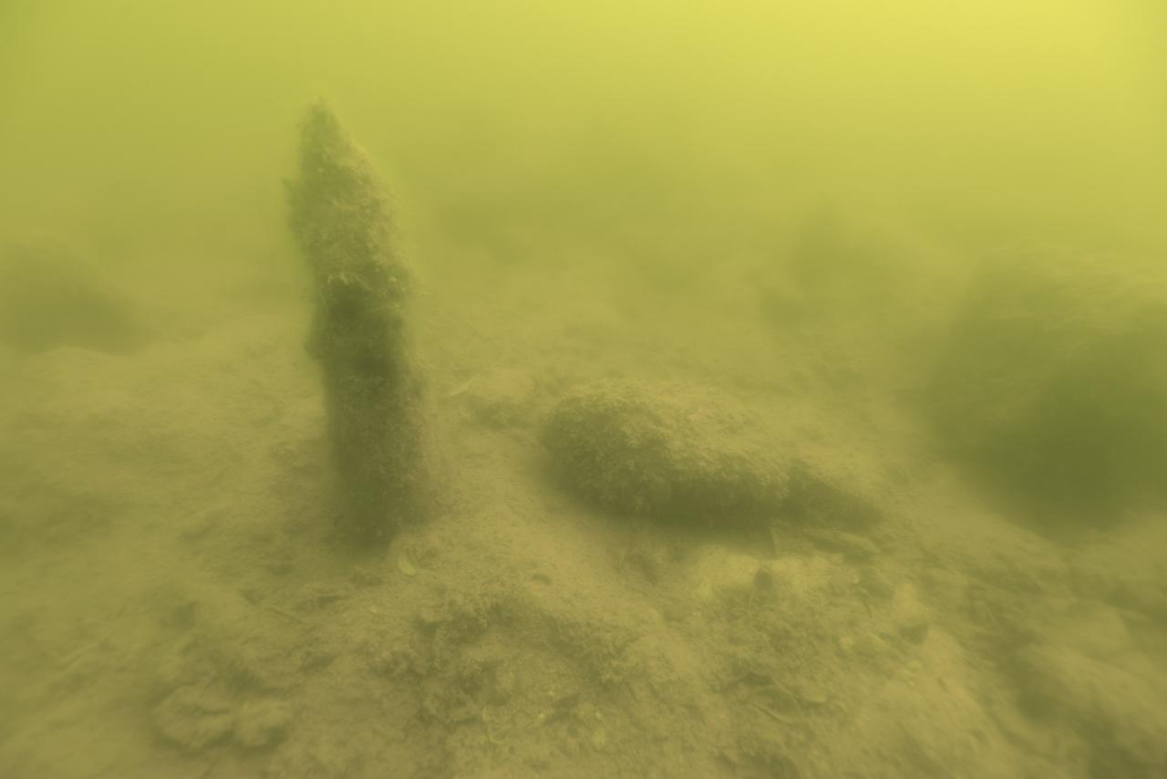 Ein stehender Pfahl am Seegrund, mit Algen bewachsen