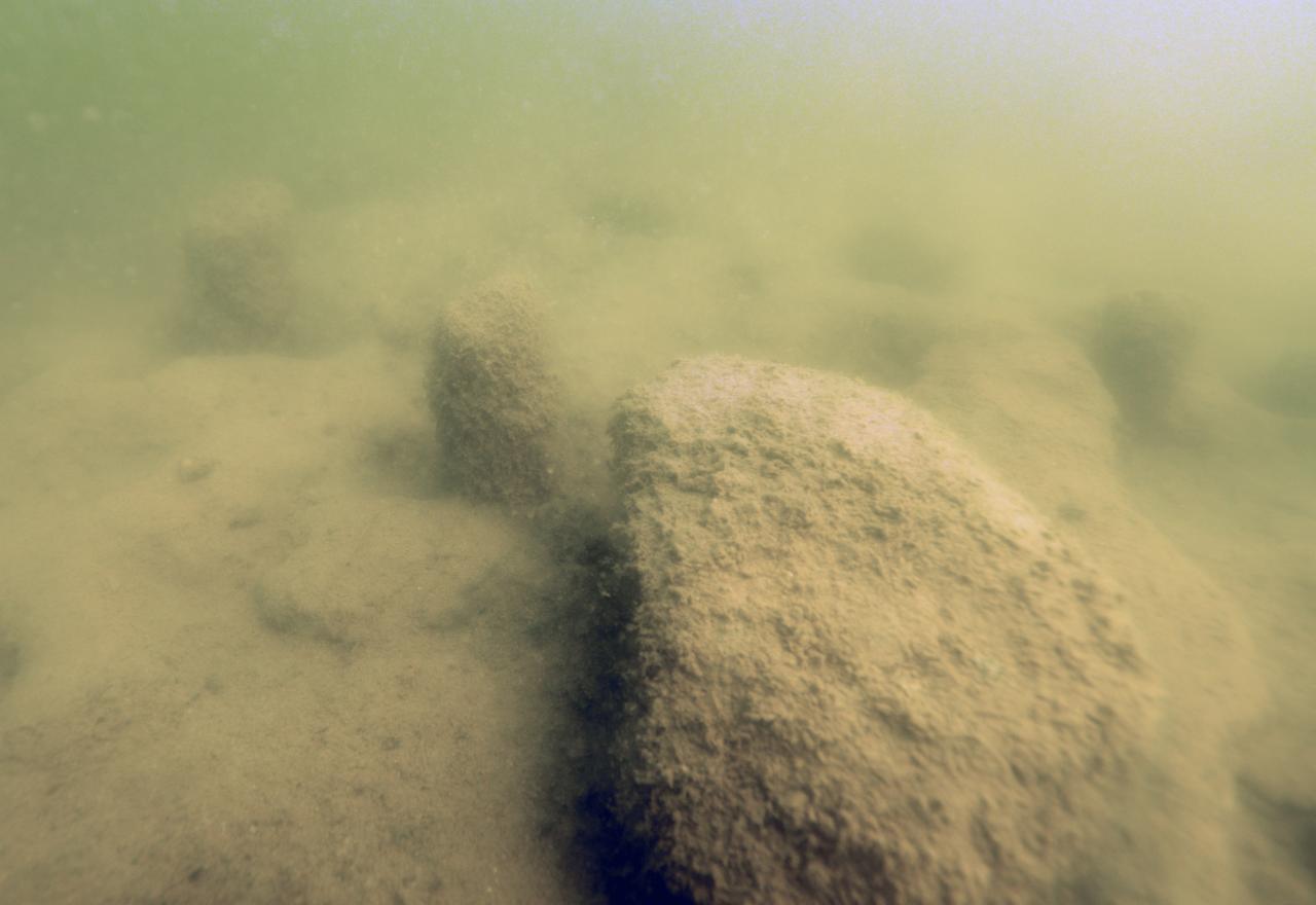 Pfahlspitzen, die aus dem Seegrund ragen