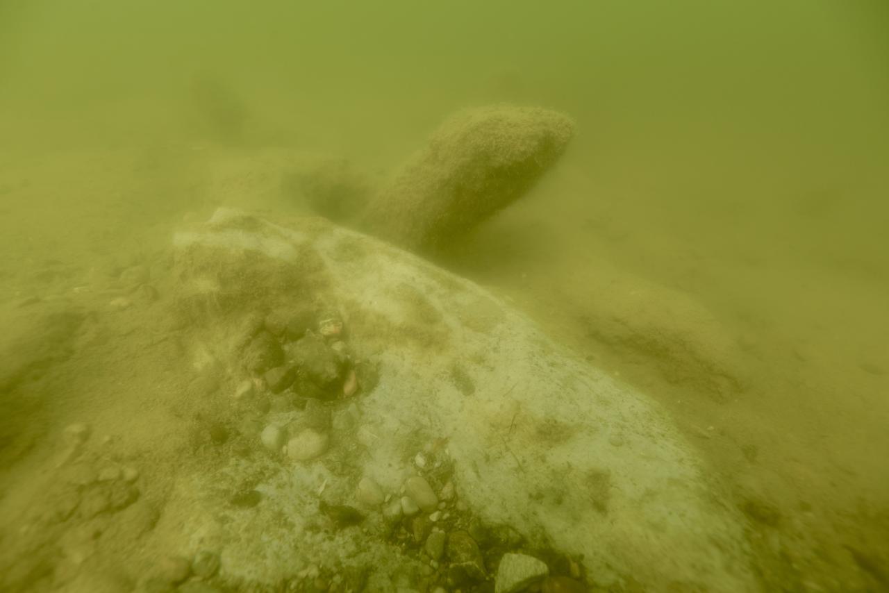 Steine und Holz unter Wasser