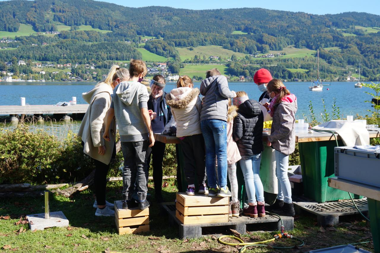 Eine Gruppe Kinder steht auf Kisten und Paletten vor dem See und betrachet etwas