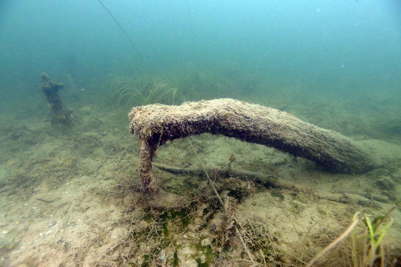 Ein Baumstamm unter Wasser am Seegrund