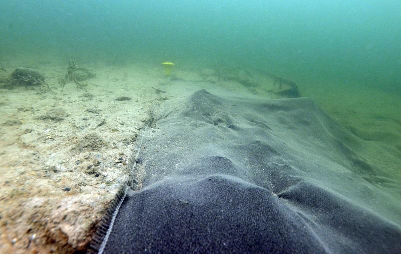 Der Seegrund, der teilweise mit einer schwarzen Basaltmatte abgedeckt ist
