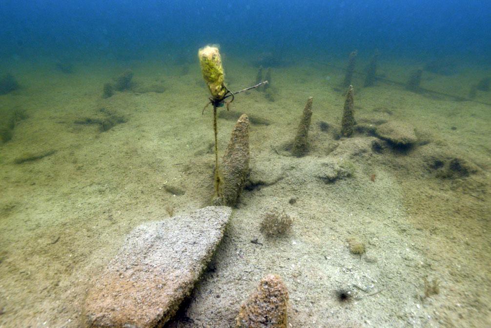 Am Seeboden erkennt man Pfähle und andere Erhebungen, die mit einem Erosionsmarker gekennzeichnet sind