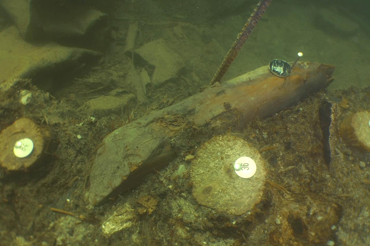 Hölzer mit Markierungen am Seeboden