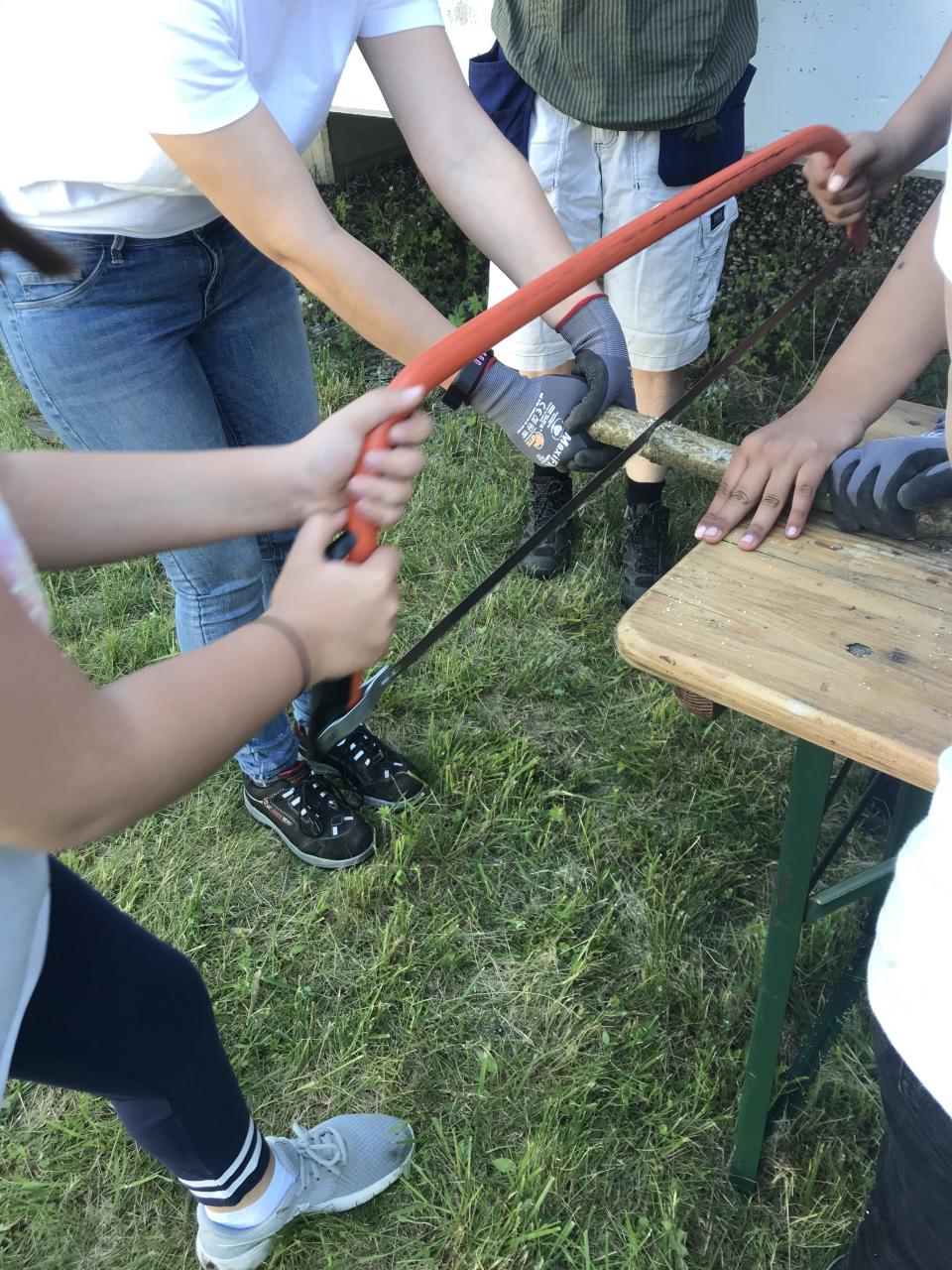 Man sieht mehrere Arme, die Haselnussstecken mit einer Säge zerteilen