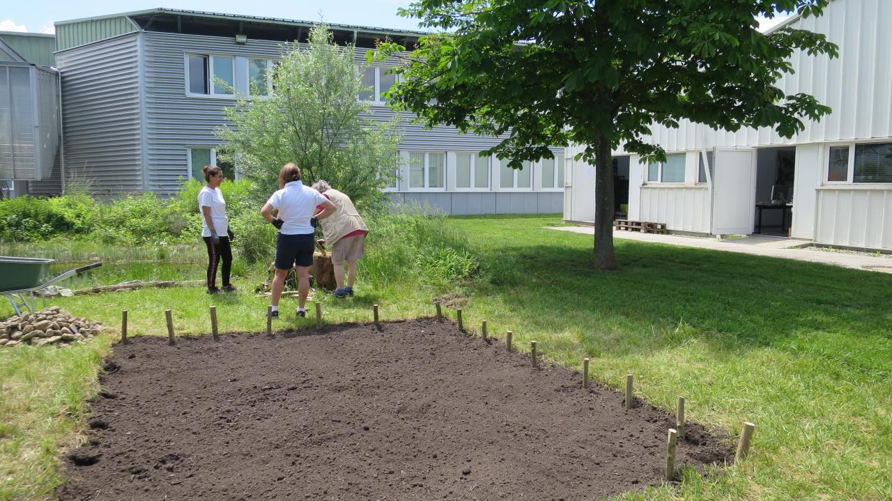 Ein Pflanzbeet vor einem Gebäude mit mehreren Personen dazwischen