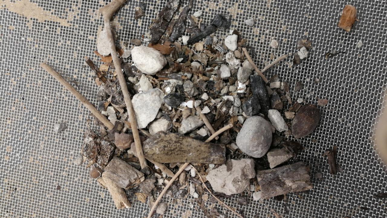 Gefriergetrocknetes Material aus einem Schlämmsack