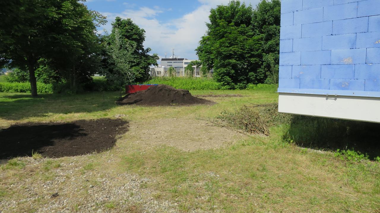 Ein nicht genutzter Teil des Gartens vor einem blauen Gebäude