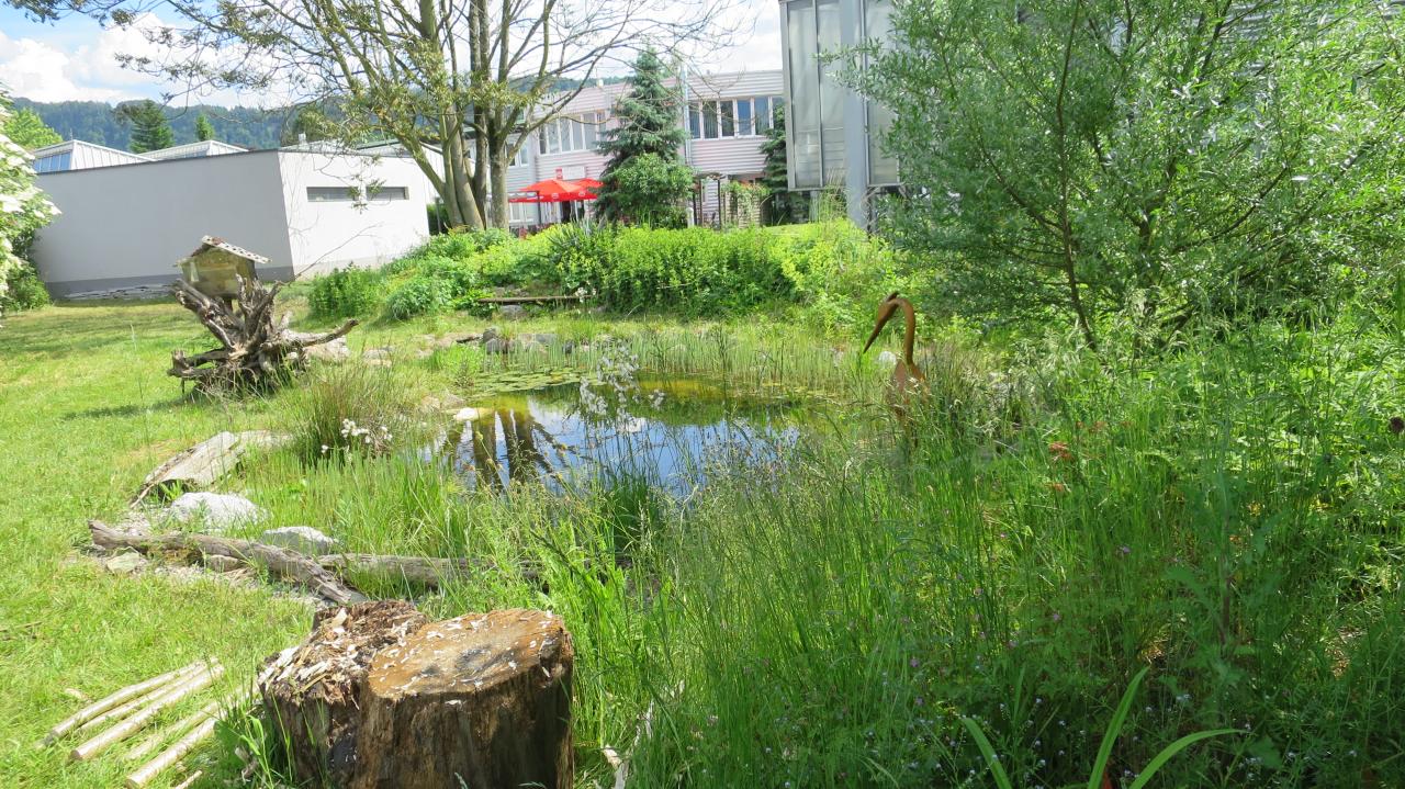 Ein Teich in einem Garten zwischen Gebäuden