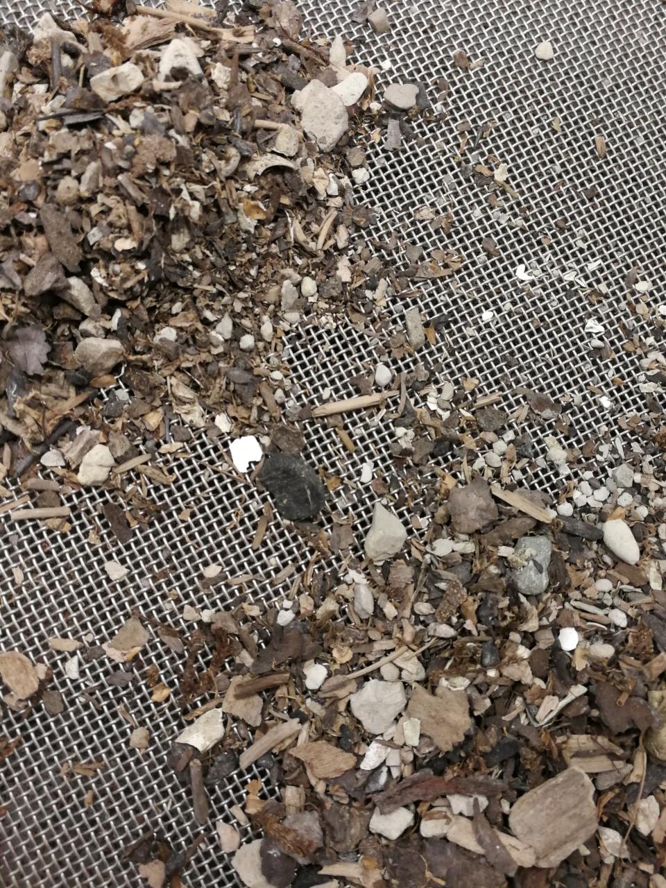 Ein Sieb mit gefriergetrocknetem Sediment