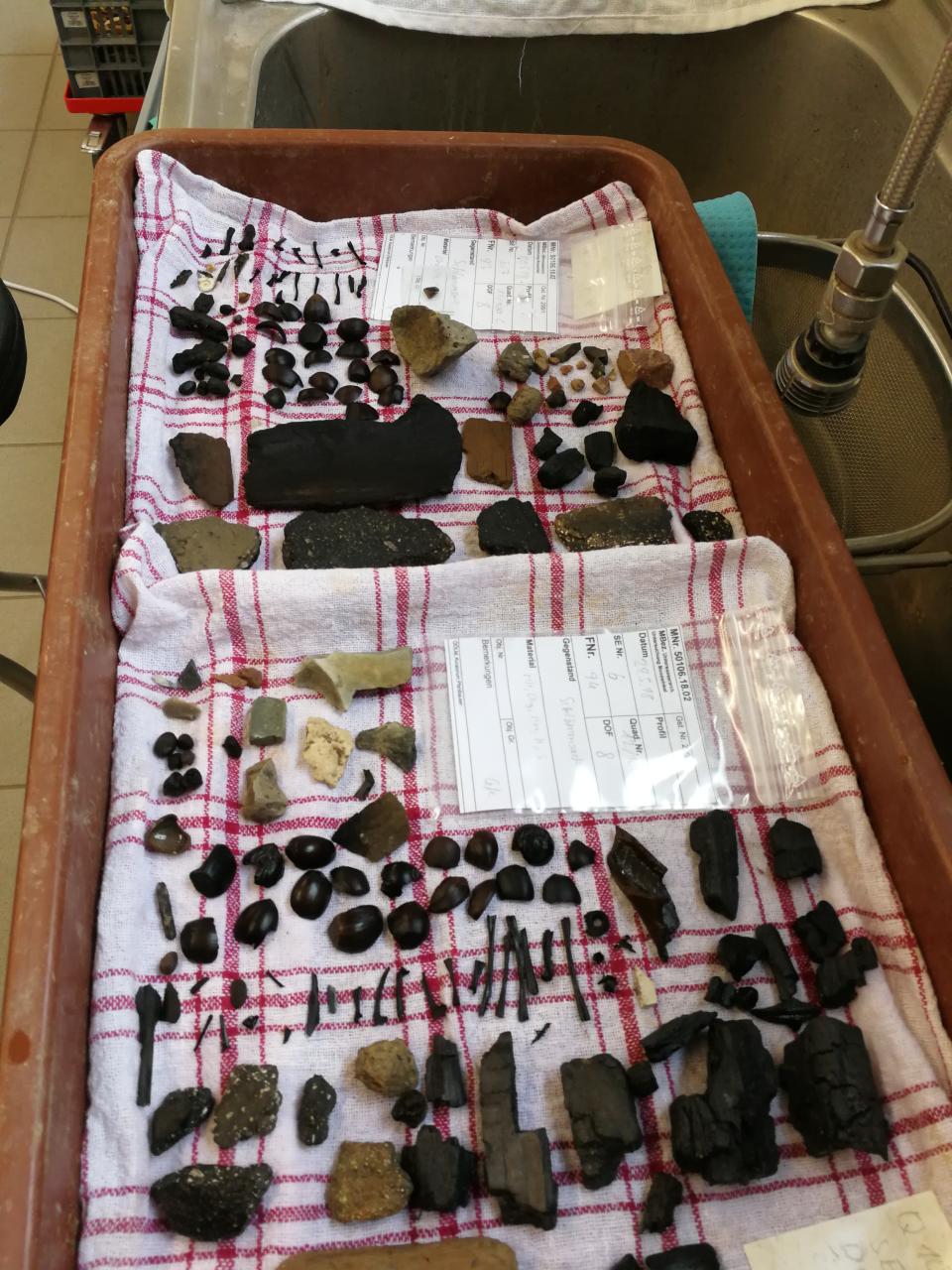 Keramikfragmente und andere Funde liegen zum Trocknen au feinem Geschirrtuch