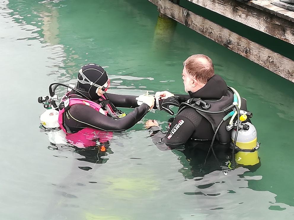 2 Taucher halb im Wasser