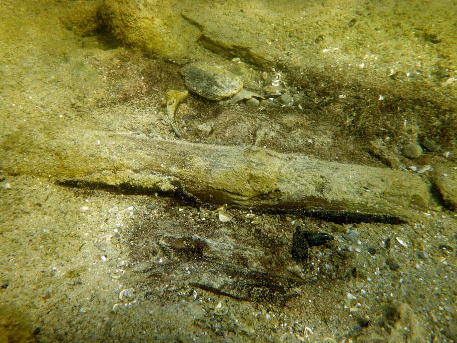 Man erkennt liegendes Holz und Keramikfragemente auf dem Seegrund