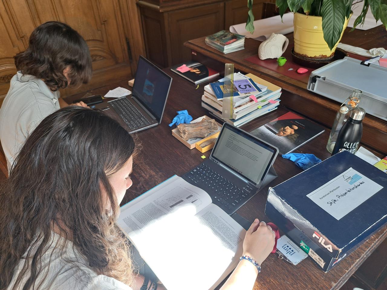 Arbeitsplatz im NHM